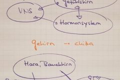 Workshop-Meret-Hackenberg-Steingaden-2019_IX-e1584264790605