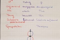 Workshop-Meret-Hackenberg-Steingaden-2019_VII-e1584264777474