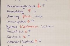Workshop-Meret-Hackenberg-Steingaden-2019_VIII-e1584264816865